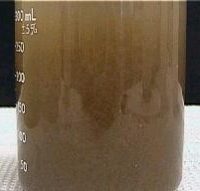 Static Mixers mid coagulation example