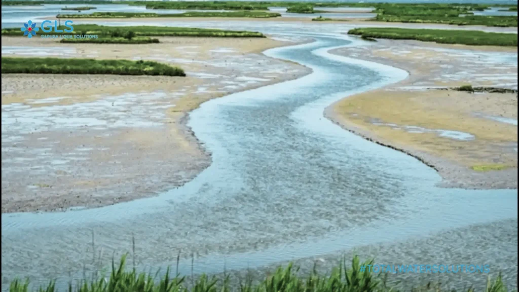 Muara sungai dengan air payau yang menunjukkan peningkatan salinitas akibat percampuran air laut dan air tawar di daerah pesisir.