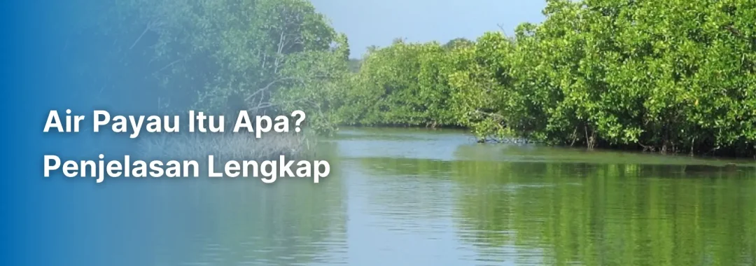 Contoh ekosistem air payau di daerah pesisir sebagai ilustrasi penjelasan air payau itu apa