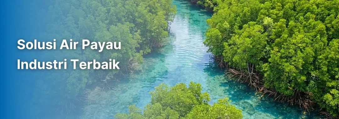 Pemandangan aliran sungai air payau di kawasan pesisir, mengilustrasikan sumber air baku yang memerlukan solusi air payau industri berbasis BWRO dari Gapura Liqua Solutions.