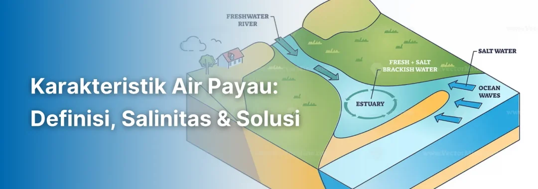 Infografis mengenai karakteristik air payau dan tingkat salinitasnya.