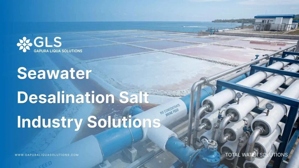 Reverse osmosis system pre-concentrating seawater brine for salt industry production