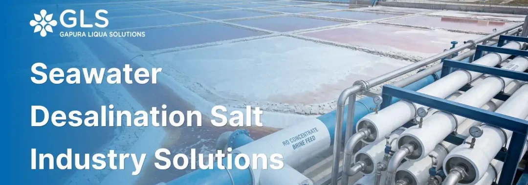 Reverse osmosis system pre-concentrating seawater brine for salt industry production