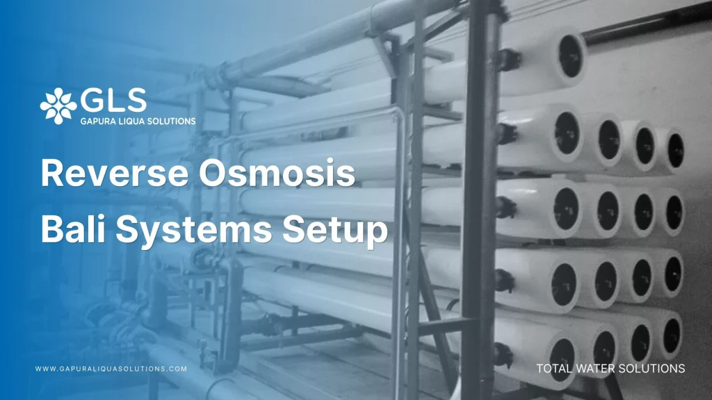 Engineers inspecting reverse osmosis bali systems for commercial water treatment