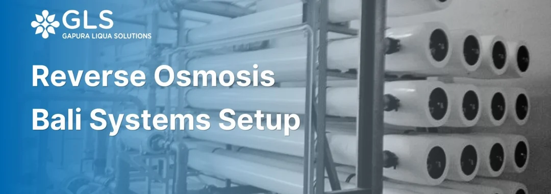 Engineers inspecting reverse osmosis bali systems for commercial water treatment